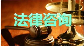 天津?qū)I(yè)執(zhí)行律師與法律咨詢服務(wù)全解析